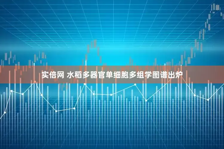 实倍网 水稻多器官单细胞多组学图谱出炉