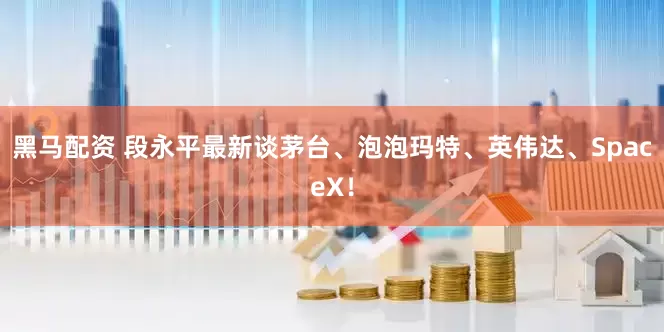 黑马配资 段永平最新谈茅台、泡泡玛特、英伟达、SpaceX！
